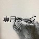 専用ページ