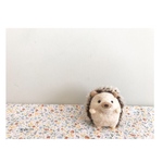 うるうるハリネズミ