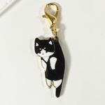マスクチャーム　ぶら下がり　くったり猫ちゃん