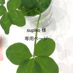 supikoさま専用ページです