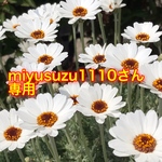 miyusuzu1110さん専用ページです