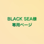 BLACK SEA様専用ページ