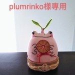 【ご予約　plumrinkoが様専用】春限定・福良ご縁蛙　ピンク地/葉つき