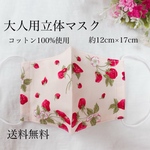 大人用　立体　マスク　キット☆送料無料
