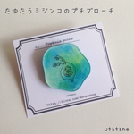 《再販》たゆたうミジンコのプチブローチ
