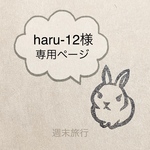 ◆ haru-12様専用 ◆ラタン風リボンヘアゴム親子セット♡
