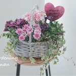 🌸お花でほっこり🌸ペチュニアジュリエットのcuteで可愛い寄せ植え