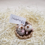 羊毛フェルトで作ったハリネズミのマグネット