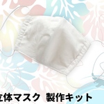 オフホワイト洗える立体マスク手作り製作キット　大人マスク　細平ゴムプレゼント　ナイスな心意気　マスクゴム　プレゼント　無地オフホワイト