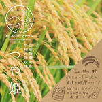 【つや姫】【精米 10kg】 令和元年収穫　特別栽培米　山形県飯豊町産