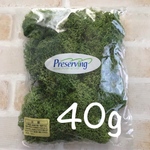 【再販29】40g アイランドモス  フレッシュグリーン 
