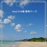 hina1518様 専用ページ 【ブラック】2本  ロングタッセル70mm他3点