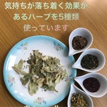 《閉店セール》気持ちが落ち着く　お茶　ハーブティー