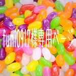 fumi0917様専用ページ