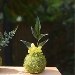 枯れない苔玉〜こじん鞠（まり）〜南天とアジサイ 