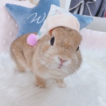 おやすみぼうし☆（ふうせんうさぎ）