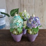 こんまり紫陽花プランター