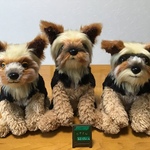 k様オーダーメイド品(ヨークシャーテリア)