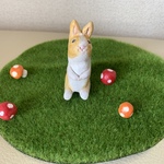 きのこ森のうさうさ