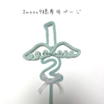 2moon9様専用ページ