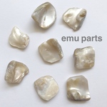 shell  Perl beads6p