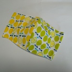 立体マスクキット (ライムとレモン・普通サイズ) フィルター挟めます！