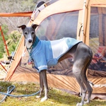 🐠アクアブルー切り替えボーダー🐠