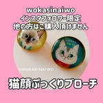 【インスタフォロワー限定】猫顔ぷっくりブローチ