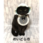 チェック柄エプロン、猫ちゃんの首輪