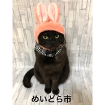 再入荷！チェック柄シュシュ、猫ちゃんの首輪