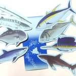 魚のメッセージレター<大海原の狩人>