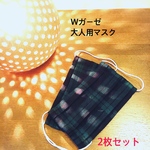 大人用プリーツマスク