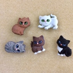 From U.S. 子猫ちゃんボタン　入荷しました
