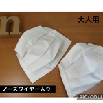 大人用マスク 2枚  無地  プリーツ ノーズワイヤー入り 