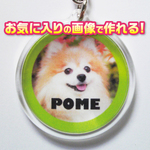 犬　猫　ペット　ハムスター　キーホルダー　写真/名前入り　オーダーメイド/オリジナル　a-12