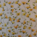 押し花 素材 メラスフェルラ　💐