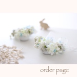 order page