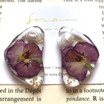viola ❁  purple