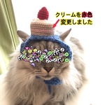 再販】男のコ.誕生日.バースデー.ケーキ.4月.ニット帽.猫.被り物.コスプレ.毛糸.ハンドメイド