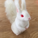 K様専用　アルビノエゾリス