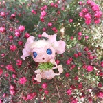 🌿精麻妖精🌿精霊【C】