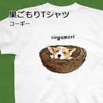 【受注生産】巣ごもりTシャツ　コーギー　全44色！！