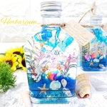 ꫛꫀꪝ✧‧˚熱帯魚　ハーバリウム　₊✼̥୭*ˈ