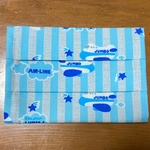 【送料無料】マスクカバー(子ども用サイズ対応)飛行機柄