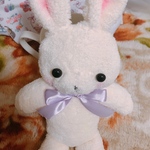 再販「🐰🐰ぬいぐるみ」