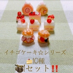 イチゴケーキ☆シリーズセット🍰ミニチュア