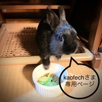 kaofechさま専用ページ