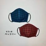 送料無料【Lサイズ】ファミリアチェックの立体マスク（一枚）