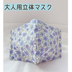 大人用立体マスク