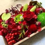 情熱レッドローズ＆グリーンFlower Garden＊ハーバリウム　花材ドライフラワー 花材詰め合わせセット